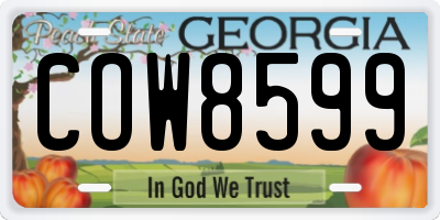 GA license plate COW8599