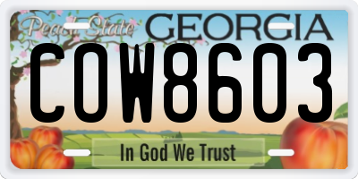 GA license plate COW8603