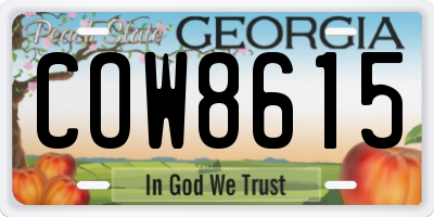 GA license plate COW8615