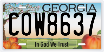 GA license plate COW8637