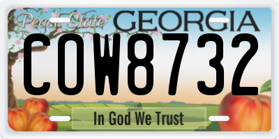 GA license plate COW8732