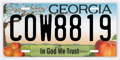 GA license plate COW8819