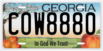 GA license plate COW8880