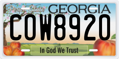 GA license plate COW8920
