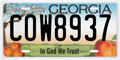 GA license plate COW8937