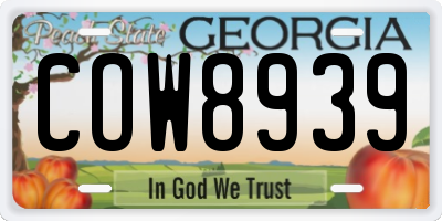 GA license plate COW8939