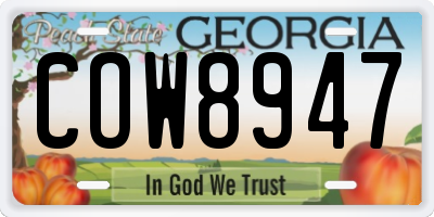 GA license plate COW8947