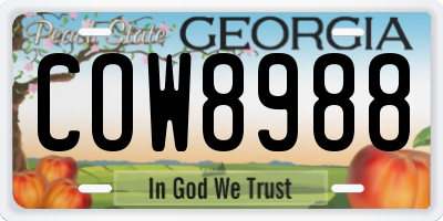 GA license plate COW8988
