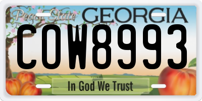 GA license plate COW8993