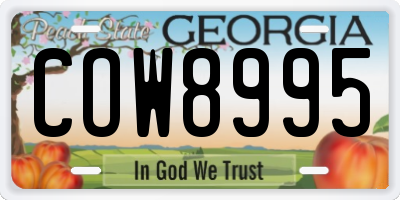 GA license plate COW8995