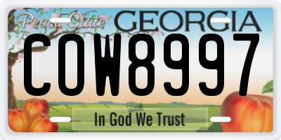 GA license plate COW8997