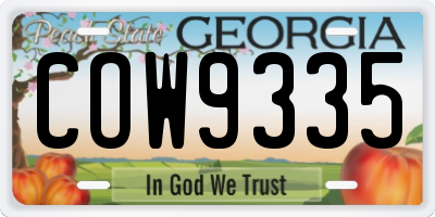 GA license plate COW9335