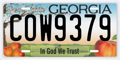 GA license plate COW9379