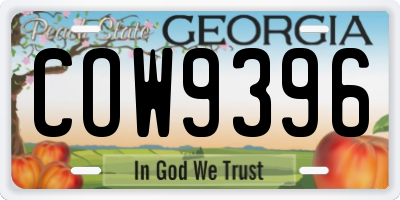 GA license plate COW9396