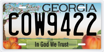 GA license plate COW9422