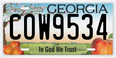GA license plate COW9534