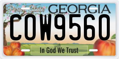 GA license plate COW9560