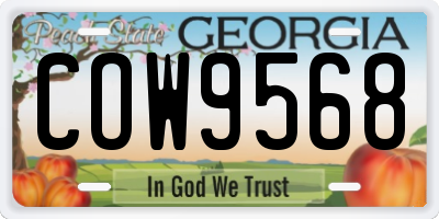 GA license plate COW9568