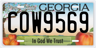 GA license plate COW9569