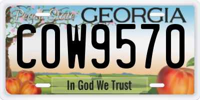 GA license plate COW9570