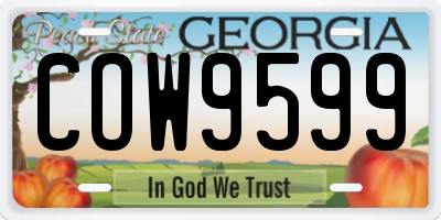 GA license plate COW9599