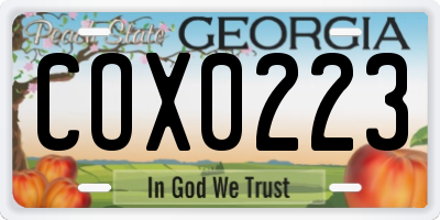 GA license plate COX0223