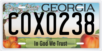GA license plate COX0238