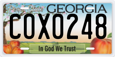 GA license plate COX0248