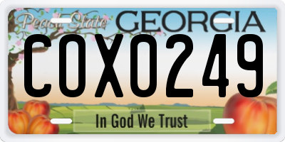 GA license plate COX0249