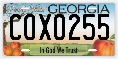 GA license plate COX0255
