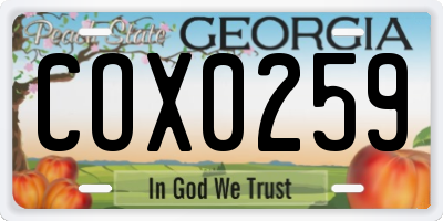 GA license plate COX0259