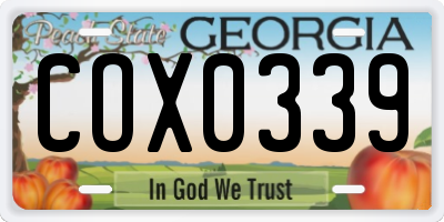 GA license plate COX0339