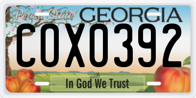 GA license plate COX0392