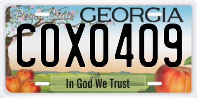 GA license plate COX0409