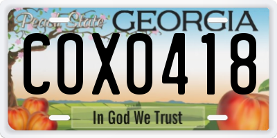GA license plate COX0418