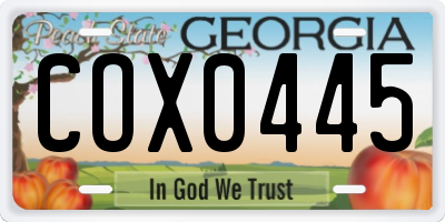 GA license plate COX0445
