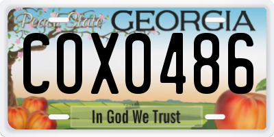 GA license plate COX0486