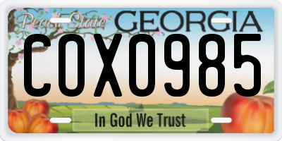 GA license plate COX0985