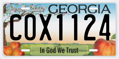 GA license plate COX1124