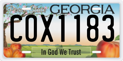 GA license plate COX1183