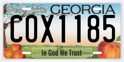GA license plate COX1185