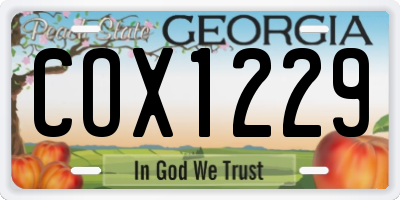 GA license plate COX1229