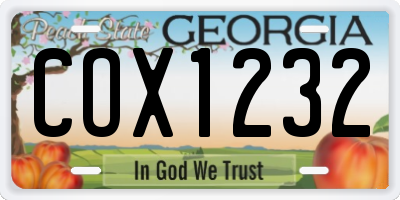 GA license plate COX1232