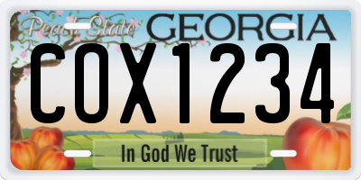 GA license plate COX1234