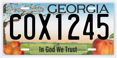 GA license plate COX1245
