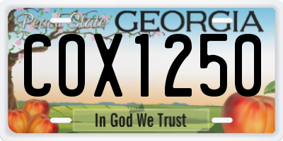 GA license plate COX1250