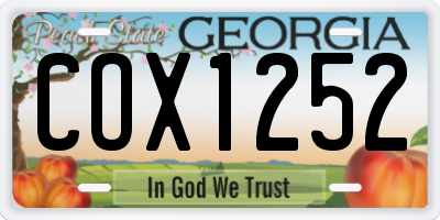 GA license plate COX1252