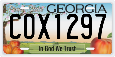 GA license plate COX1297