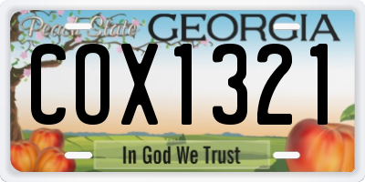 GA license plate COX1321