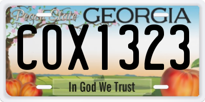 GA license plate COX1323